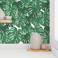 monstera cheese plant painted tropical palms botanical tropical palm springs trendy plants cactus succulents plants - EXTRA LARGE PRINT