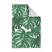 monstera cheese plant painted tropical palms botanical tropical palm springs trendy plants cactus succulents plants - EXTRA LARGE PRINT