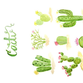 Watercolor Cactus Tea Towel