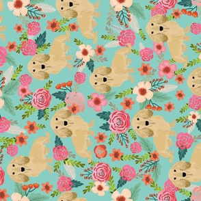 doxie  flowers florals dachshund dachshunds fabric dog cute pet dog fabric for baby leggings cute girls sweet flowers