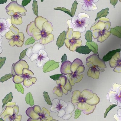 pansies -lavender and yellow on gray