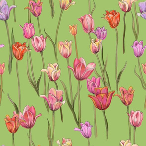 tulips - reds and pinks on green