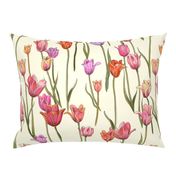 dutch tulips-pink and red on ivory