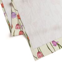 dutch tulips-pink and red on ivory