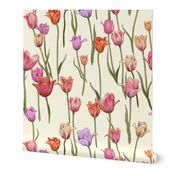 dutch tulips-pink and red on ivory