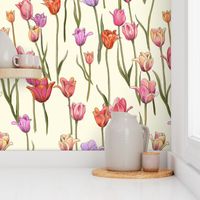 dutch tulips-pink and red on ivory