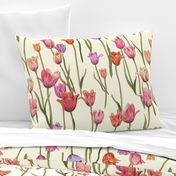 dutch tulips-pink and red on ivory