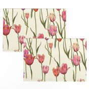 dutch tulips-pink and red on ivory