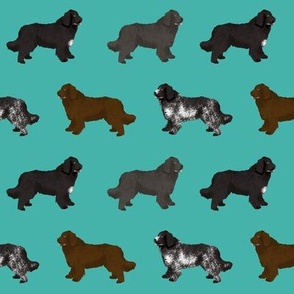 newfoundlands dog fabric cute dogs design newfoundland dog black and landseer dogs