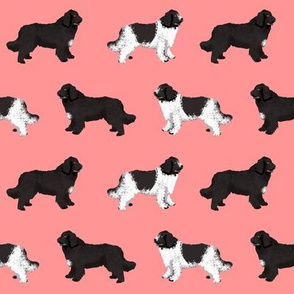 newfoundlands dog fabric cute dogs design newfoundland dog black and landseer dogs