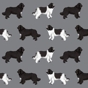 newfoundlands dog fabric cute dogs design newfoundland dog black and landseer dogs