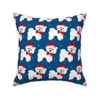 Santa // Christmas dog,  Bichon Frise // dog // with red bow and santa hat