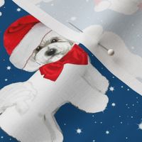 Santa // Christmas dog,  Bichon Frise // dog // with red bow and santa hat