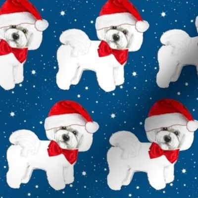 Santa // Christmas dog,  Bichon Frise // dog // with red bow and santa hat