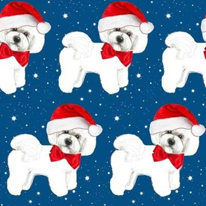 Santa // Christmas dog,  Bichon Frise // dog // with red bow and santa hat