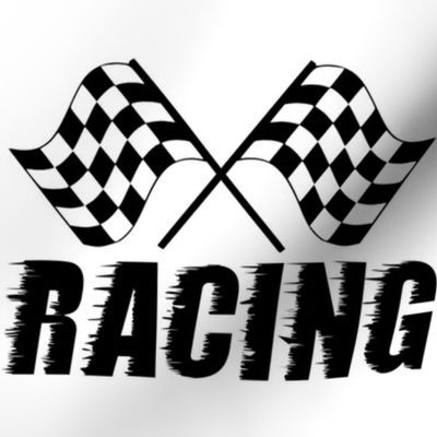 racing flag - large