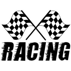 racing flag - large