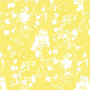 Alabama Flora in Yellow