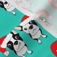 Boston Terrier Holiday