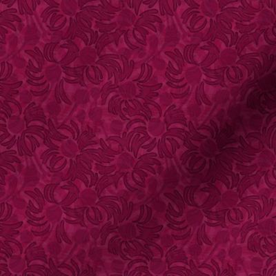 Asters-cranberry red