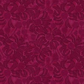 Asters-cranberry red