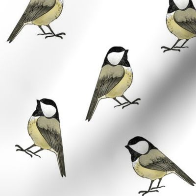 Chickadees - Smaller Scale