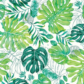 Monstera Fronds