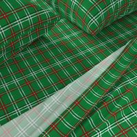 Artist Plaid_ Red and Green