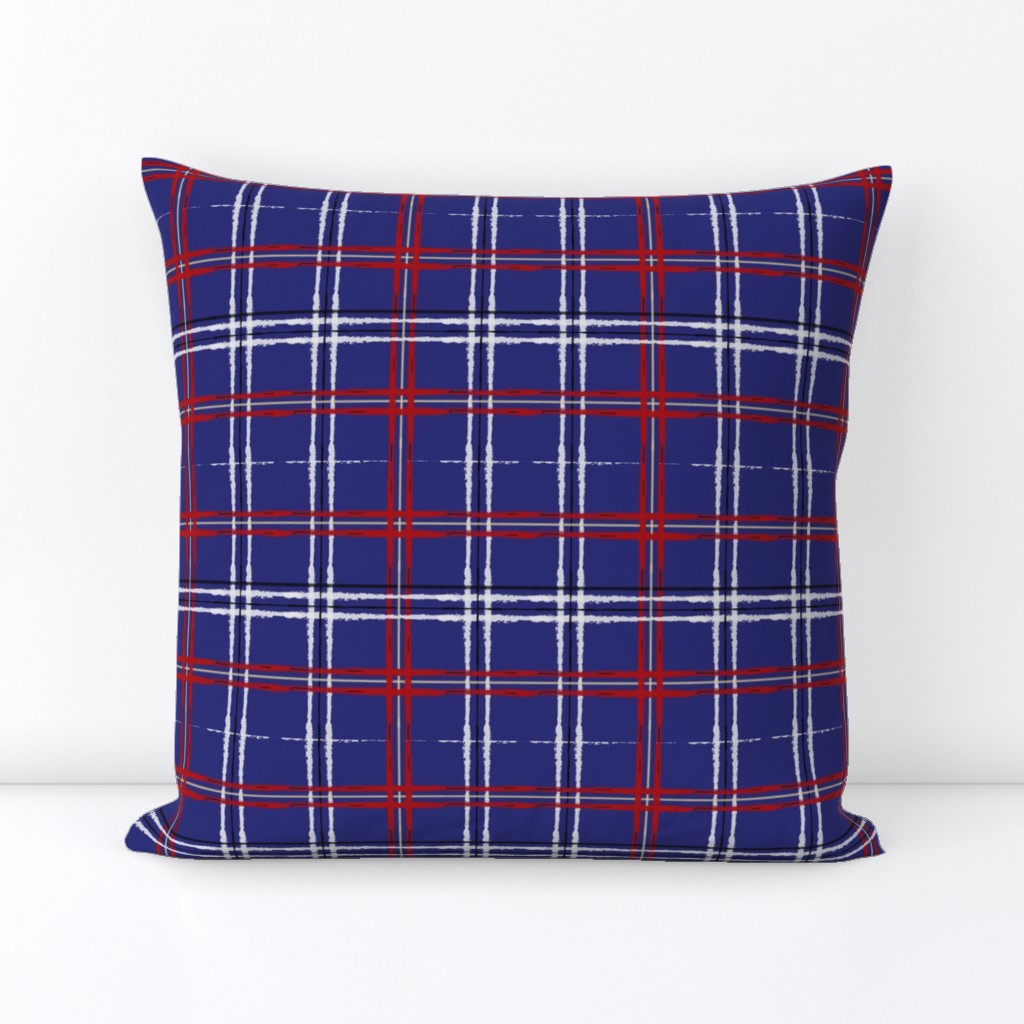 Artist Plaid_ Red and Blue