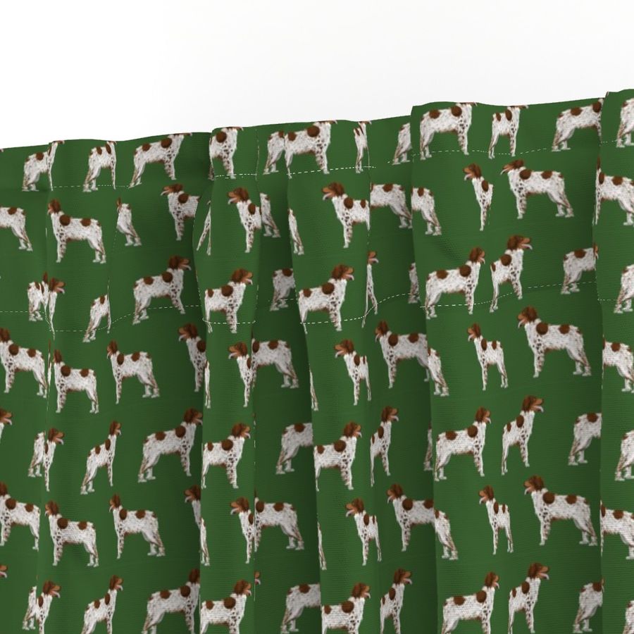 brittany spaniel fabric sporting dog standing gun dog best sporting spaniel fabric for dog owners