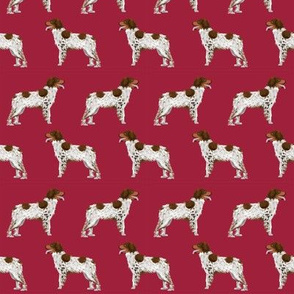 brittany spaniel fabric sporting dog standing gun dog best sporting spaniel fabric for dog owners