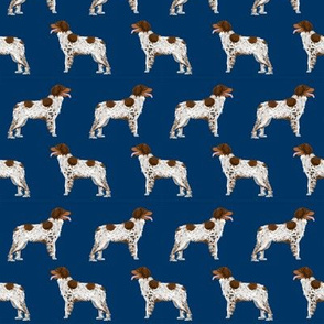 brittany spaniel fabric sporting dog standing gun dog best sporting spaniel fabric for dog owners