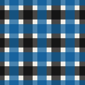 Plaid - Blue & Black