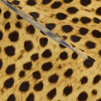 cheetah fur