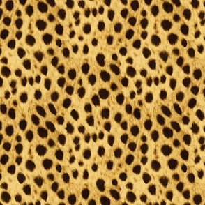 cheetah fur