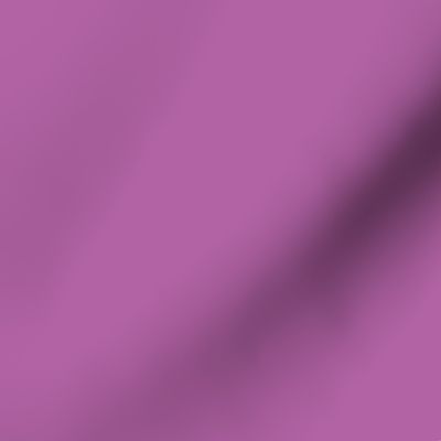 Solid Radiant Orchid Purple (#b163a3)