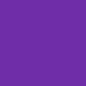  Solid grape purple (#6F2DA8)