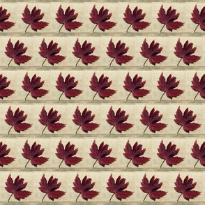 Maple Leaf and Parchment