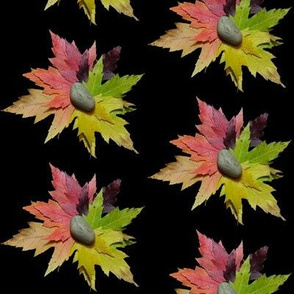 Rainbow Leaf Starburst Pointsettia & A Rock