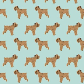brussels griffon dog fabric cute mint green dogs dog fabric pets brussels griffon
