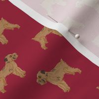 brussels griffon cute dog best dog fabric maroon pet dog fabric