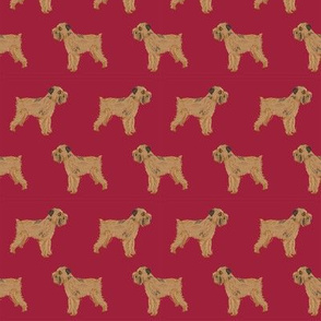 brussels griffon cute dog best dog fabric maroon pet dog fabric