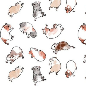 Tumbling Guinea Pigs