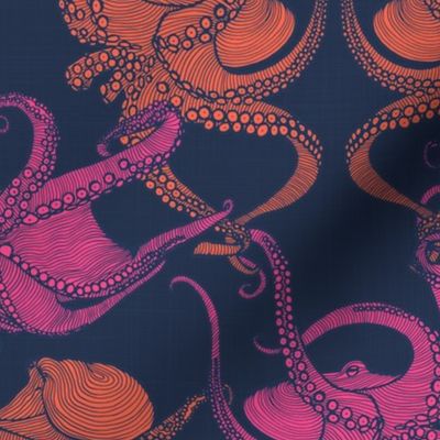 Cephalopod - Octopi smaller - Bright