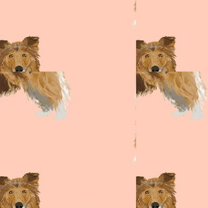 rough collie coffee fabric, cute dogs and coffees fabric print, best dogs fabric design cute rough collies