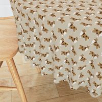 rough collie dog fabric cute rough collie print pattern for sewing quilters cute dog design