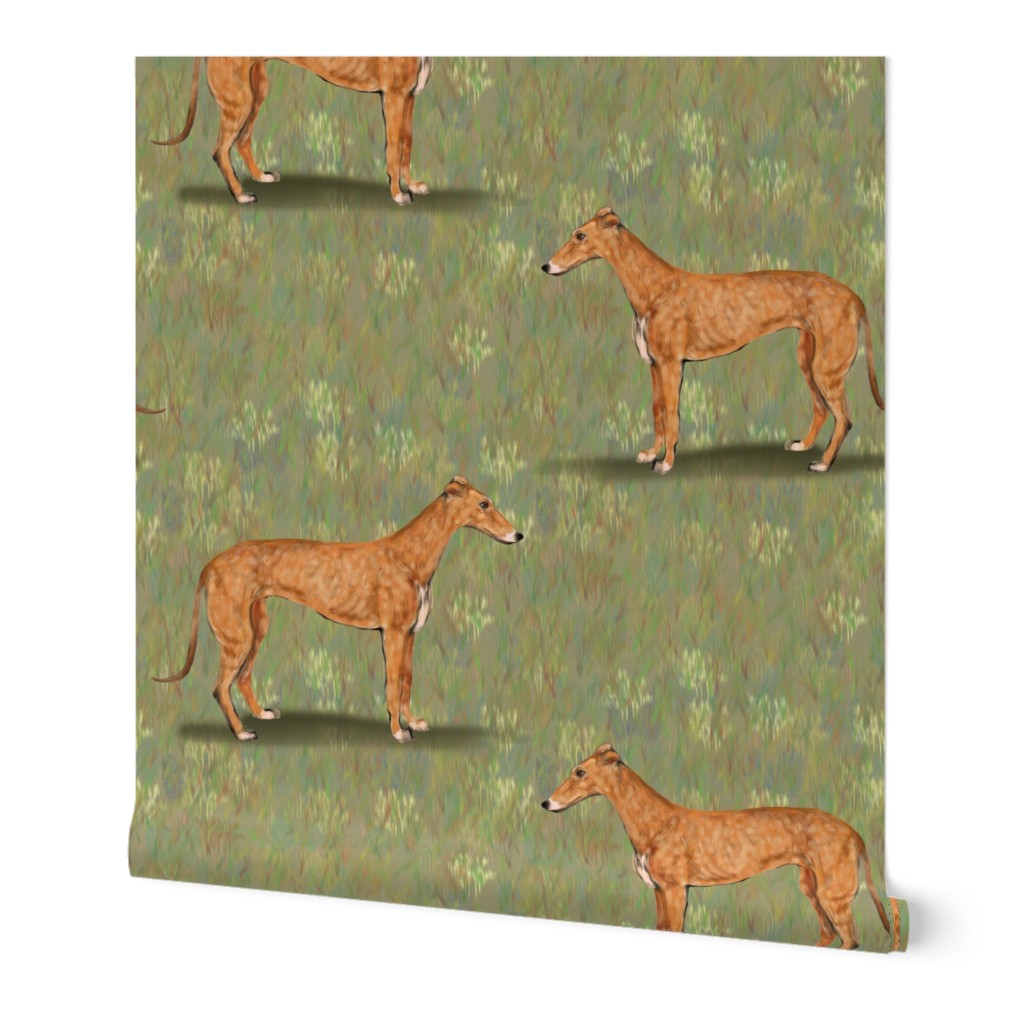 Red Fawn Greyhound landscape
