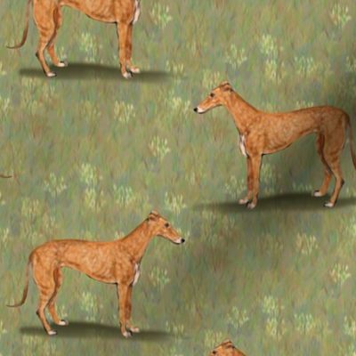 Red Fawn Greyhound landscape