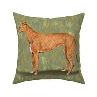 Red Fawn Greyhound for Pillow