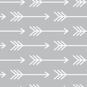 Arrows on Gray